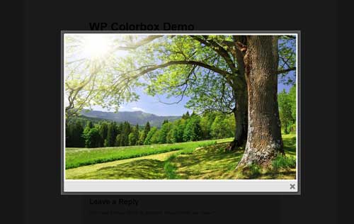 screenshot of image in lightbox using WordPress ColorBox plugin