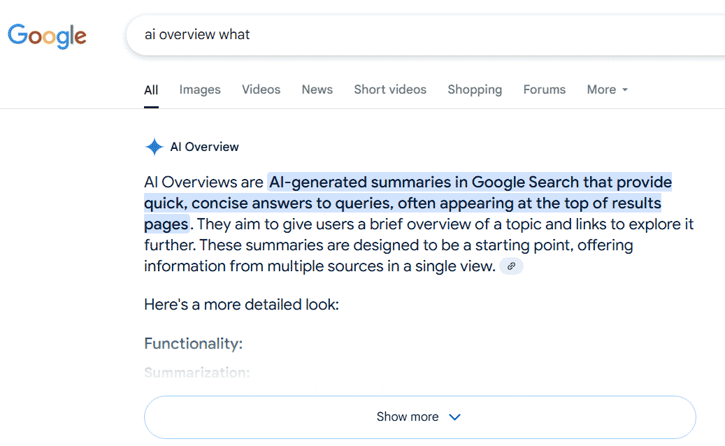 ai overview on Google search engine results page